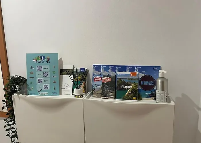 Al48 Near Leisure And Lloret