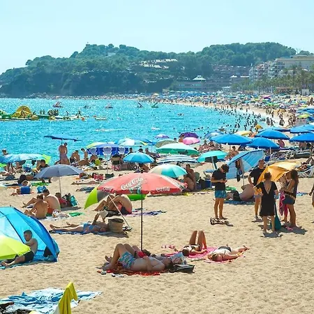 Al48 Near Leisure And Lloret 아파트 *