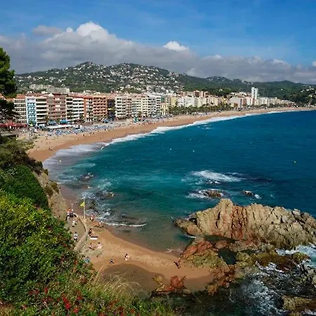 Al48 Near Leisure And Lloret *